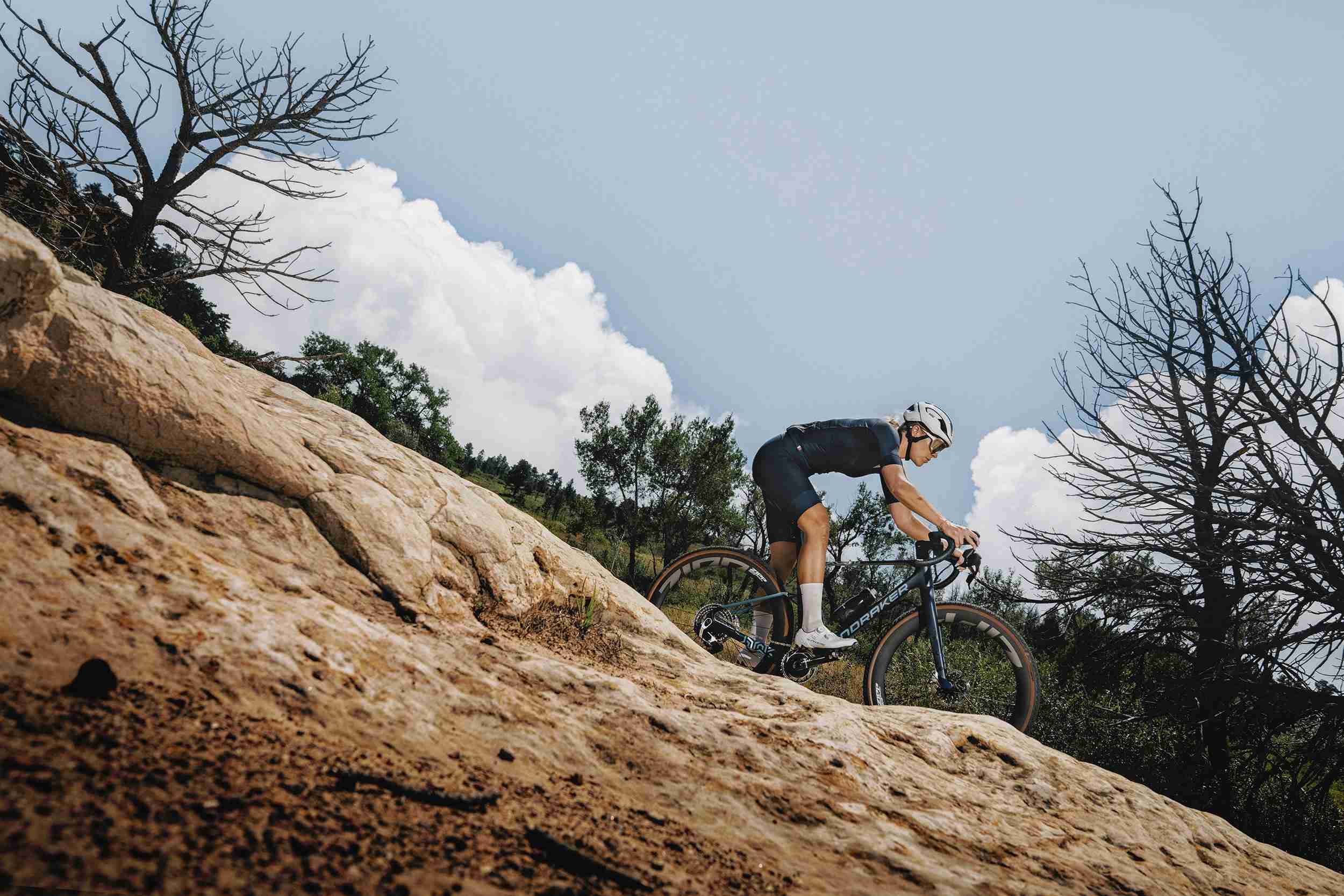 Mondraker Arid